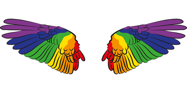 Free bird feathers wings vector