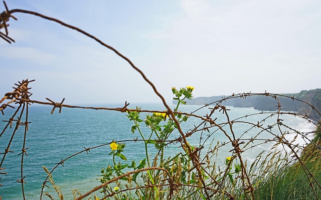 Free Normandy France photo and picture