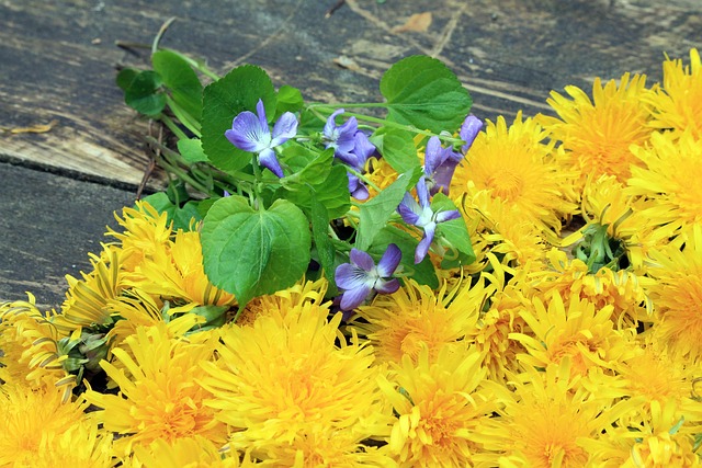 Free Flowers Beautiful photo and picture