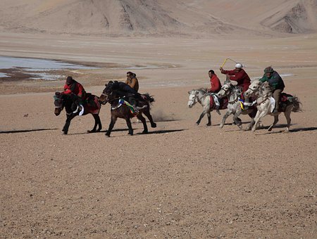 Ladakh, Tibet, Mongolsko, Nomád, Kůň