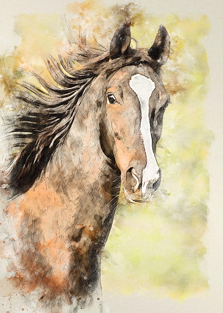 Free american saddlebred horse drawing illustration