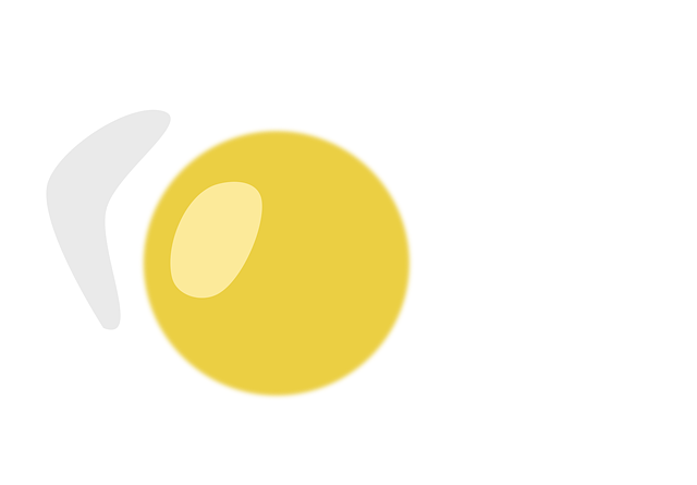 Free egg fried egg meal illustration