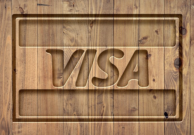 Free visa logo sign illustration