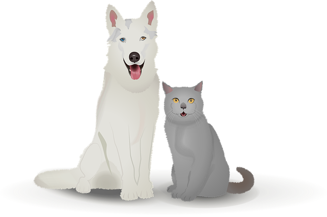Mascota, Perro, Gato, Animal, Felicidad