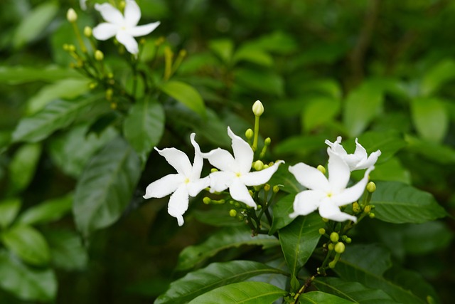 Free Beautiful Natural Beautiful Nature photo and picture