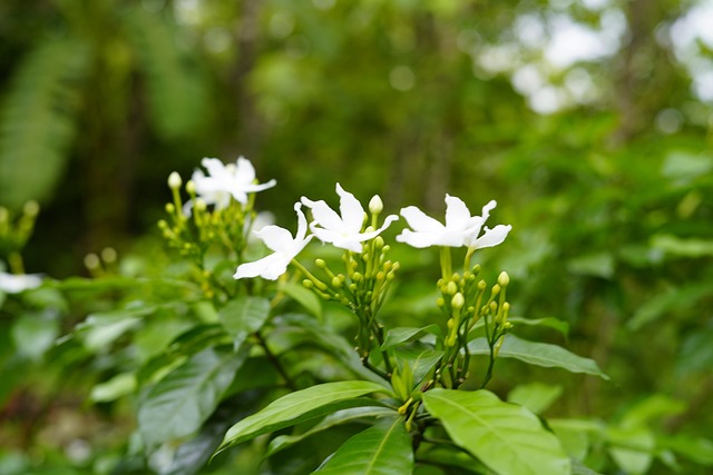 Free Beautiful Natural Beautiful Nature photo and picture