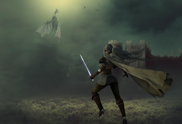 Free warrior dragon castle illustration