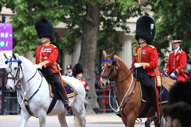 Free Queen'S Platinum Jubilee photo and picture