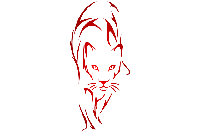 Download free HD stock image of Cougar Animal Free cougar animal feline illustration