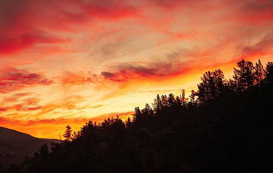 Zonsondergang, Woud, Natuur, Silhouet