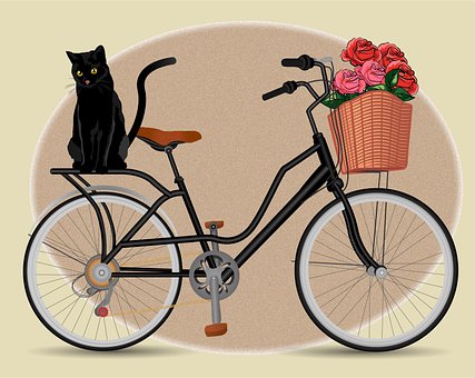 Gato, Animal, Bicho De Estimação