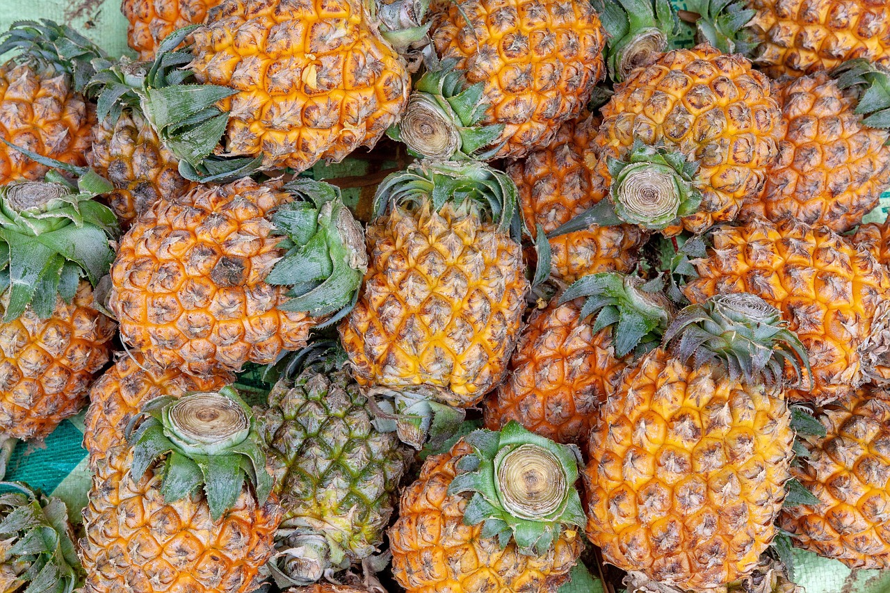 Piña Frutas Exóticas Tropical - Foto gratis en Pixabay - Pixabay