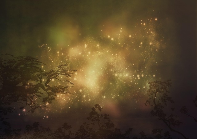 Free background treetop light illustration