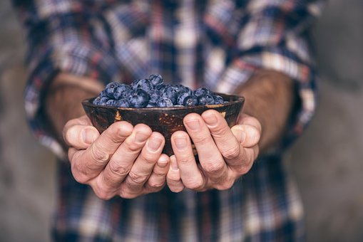 Blaubeeren, Früchte, Beeren, Hand