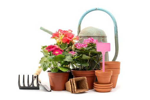 Pflanzen, Gartenarbeit, Garten, Blumen