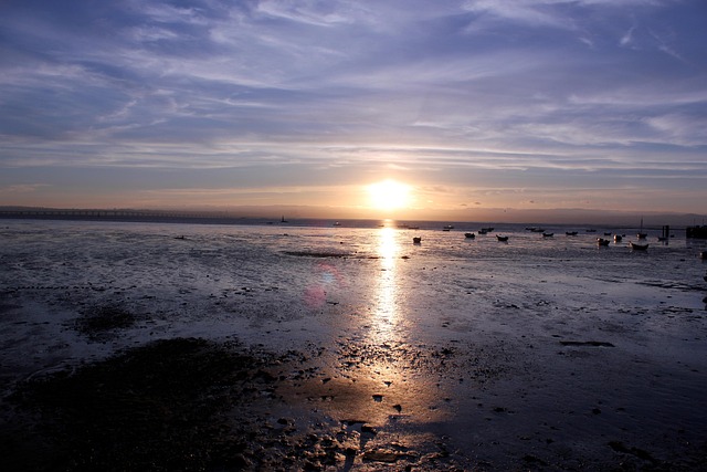 Free Sunset Nature photo and picture