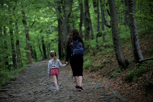 Free Forest Tour photo and picture