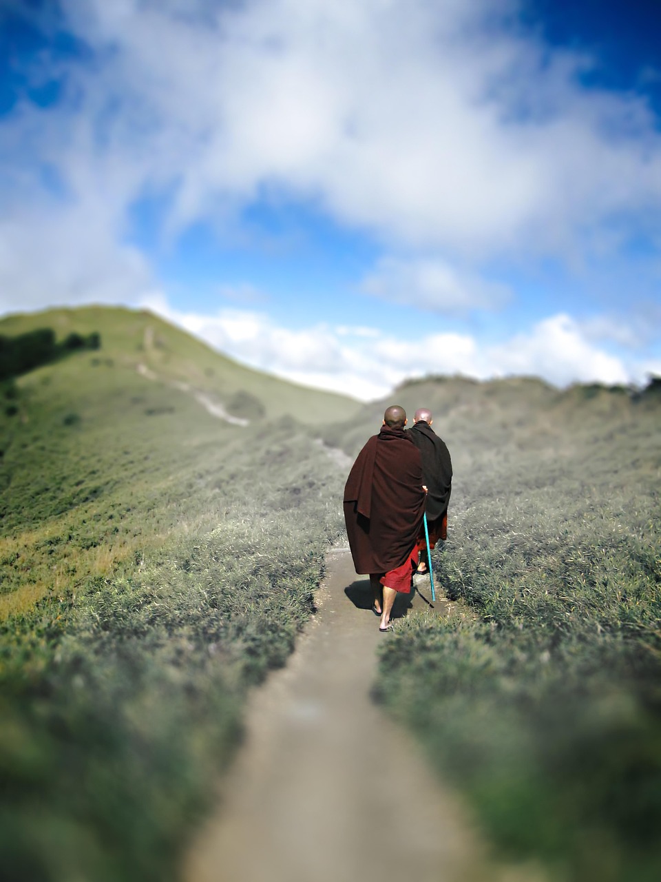 Monge Budista Passeio Viajar - Foto gratuita no Pixabay - Pixabay