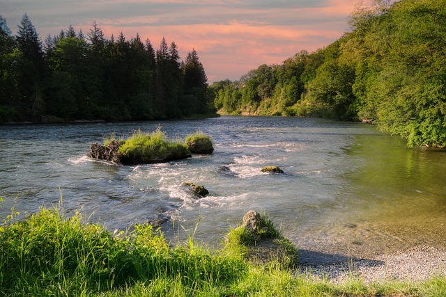 River Forest Bavaria - Free photo on Pixabay