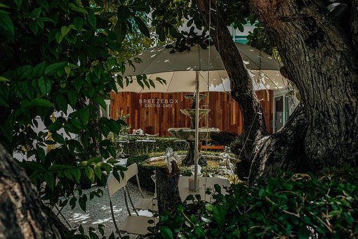 Restaurant, Kafe, Tre, Natur, Grønn