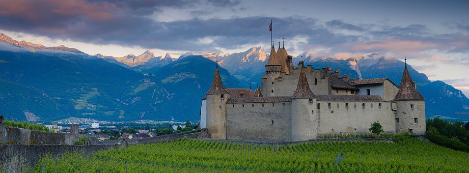 Free Castles Vineyard photo and picture