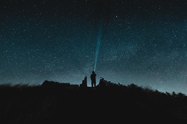 Free Silhouette Point Out photo and picture