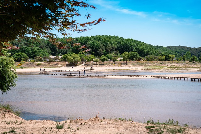 Free River Single Wooden Bridge photo and picture