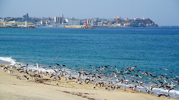 Free Republic Of Korea Gangneung photo and picture