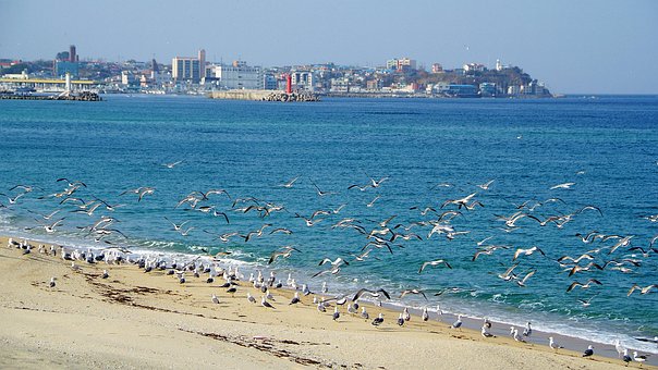 Free Republic Of Korea Gangneung photo and picture
