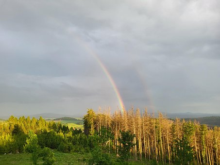 Free Rainbow Double Rainbow photo and picture