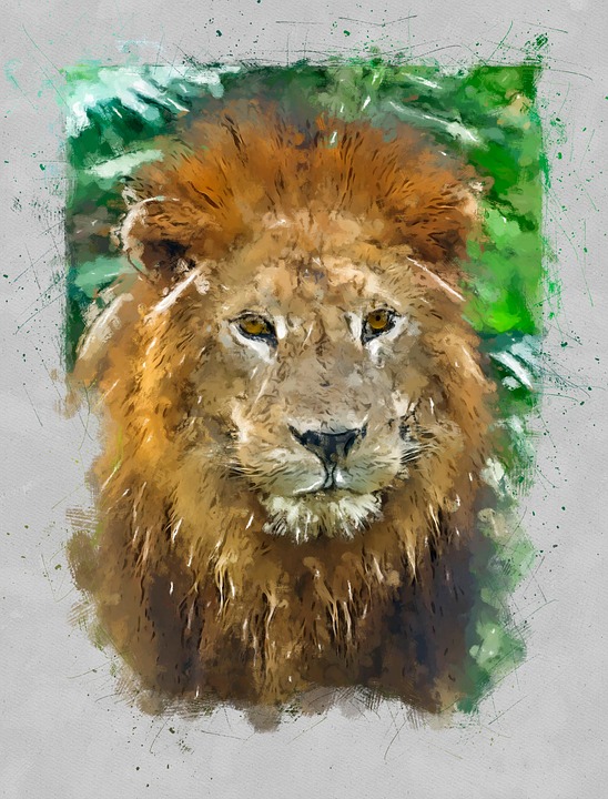 l-ve-dyr-kat-gratis-billeder-p-pixabay