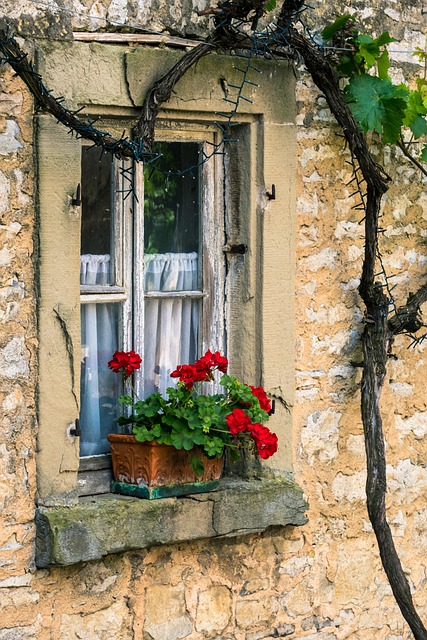 Vindue, Facade, Vinstok, Vin