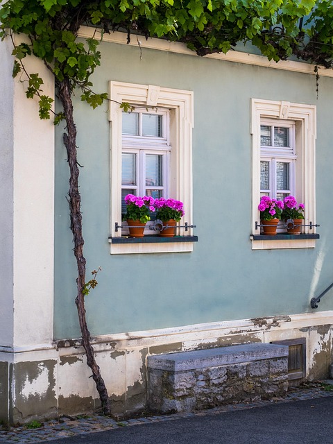 Ventana, Fachada, Vino