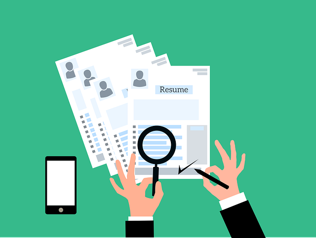 Free resume interview job vector