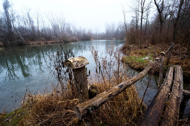 Free Lake Nature photo and picture