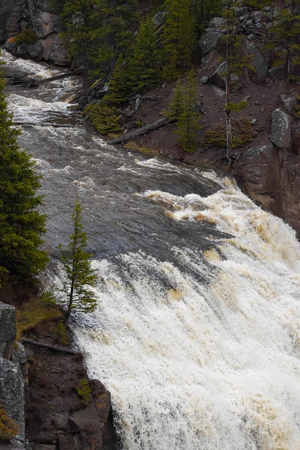 Yellowstone, Wyoming, Wasserfall, Usa