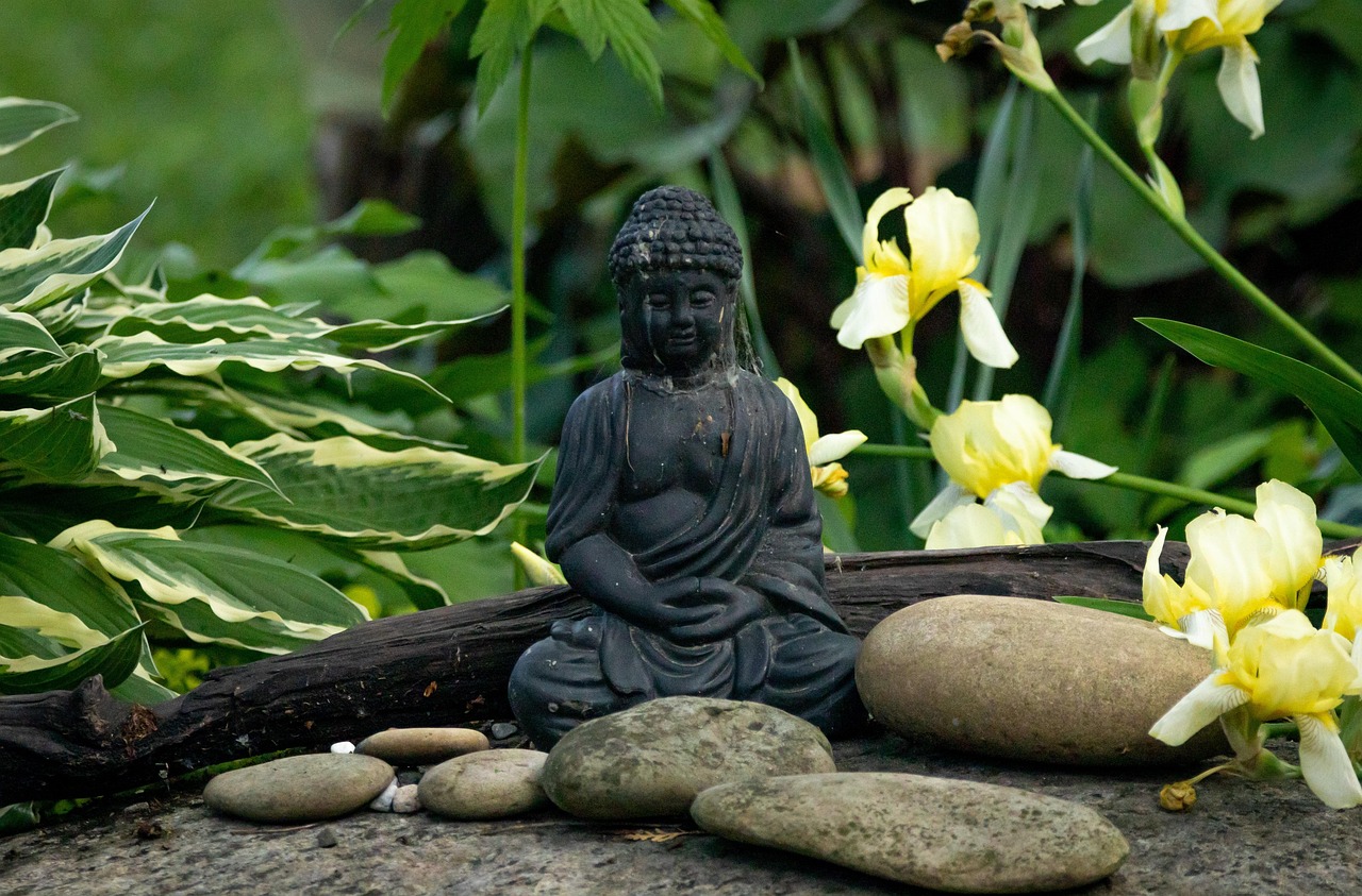 Nature Buddha Roche Free photo on Pixabay Pixabay