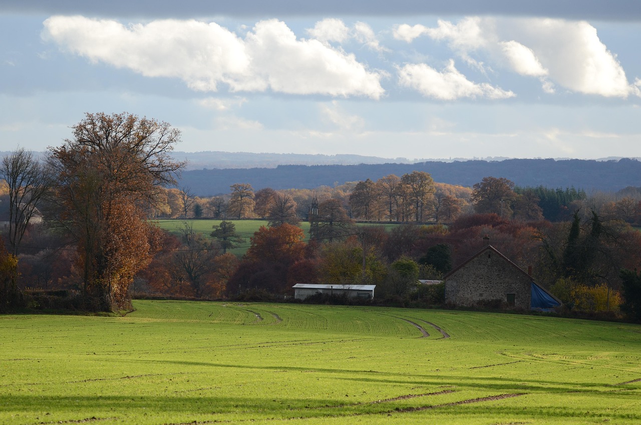 Prairie Rural Vert - Photo gratuite sur Pixabay - Pixabay