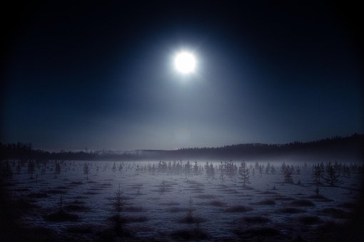 Free Winter Cold photo and picture
