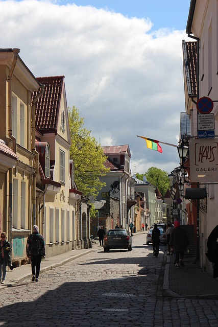 Free Street Houses photo and picture