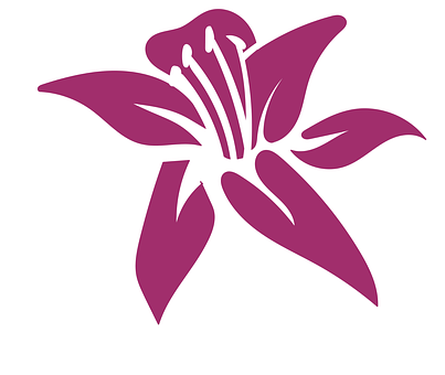 Lilie, Blume, Zeichnung, Design