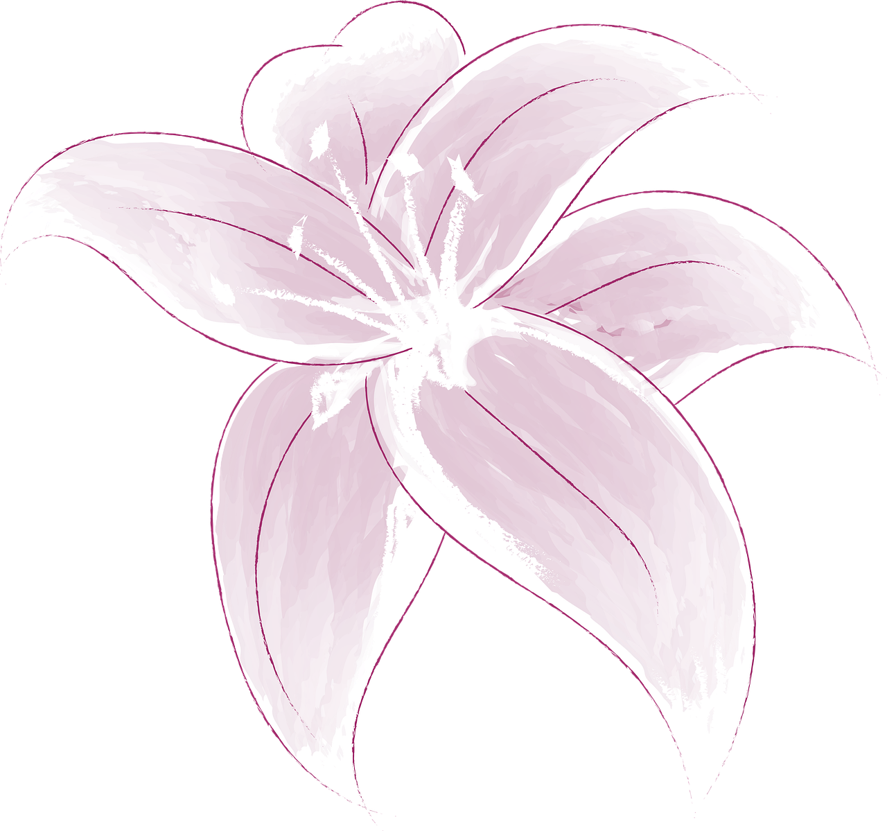Download Lily Flower Drawing Royalty Free Stock Illustration Image download-lily-flower-drawing-royalty-free-stock-illustration-image