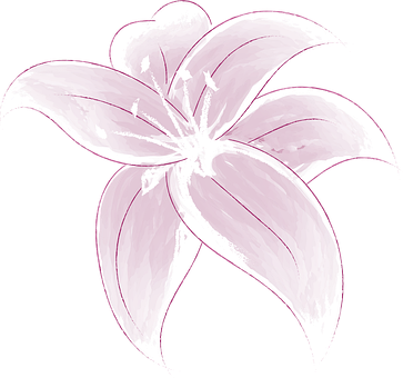 Lilie, Blume, Zeichnung, Design