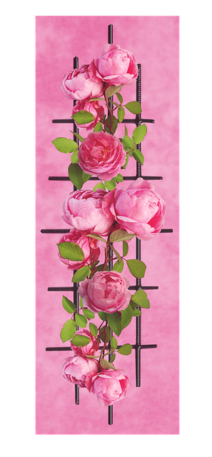 Free roses flowers trellis illustration