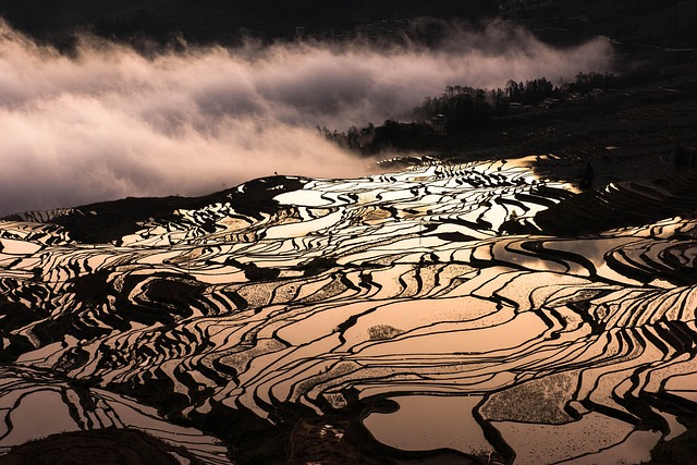 Free Yuanyang Rice Terraces Terraced Fields photo and picture