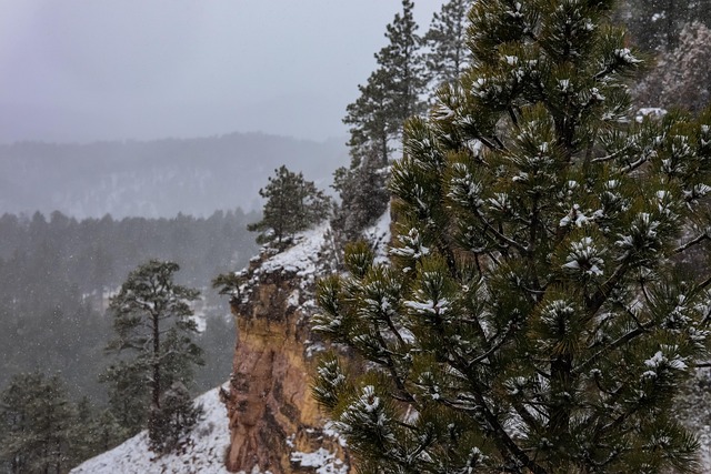 Free Blackhills South Dakota photo and picture