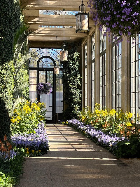 conservatory, greenhouse, sunroom, longwood, botanical, conservatory, conservatory, sunroom, sunroom, sunroom, sunroom, sunroom