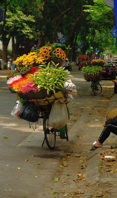 Blume, Hanoi, Vietnam, Straße, Fujifilm