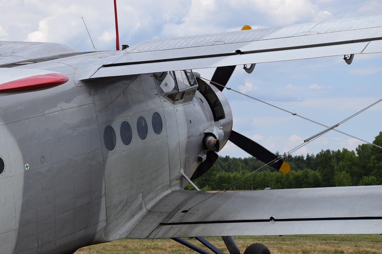 An-2 - free online jigsaw puzzle photo