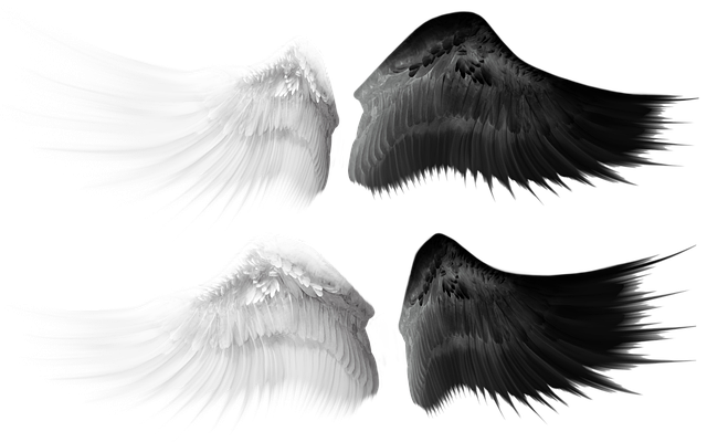 Asas, Anjo, Pássaros, Pégaso, Vôo